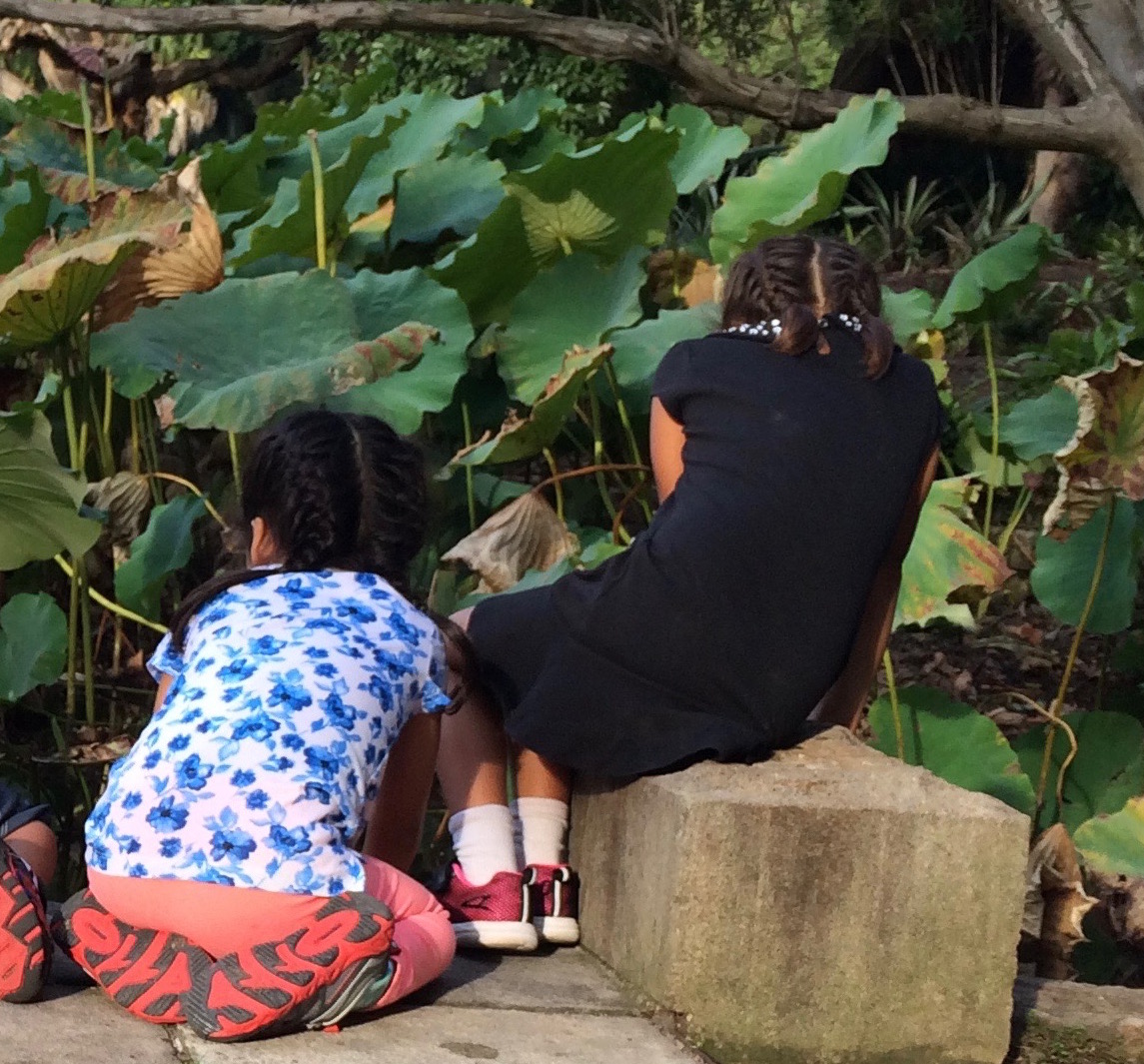 friends sitting among the lily pads