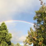 rainbow in the front yard