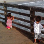 kids looking at the waves on the pier